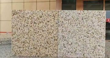 阳江 黄金麻荔枝面，中黄与浅黄