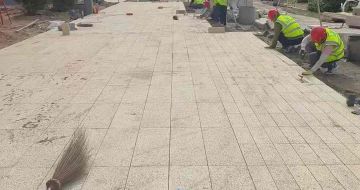 阳江黄金麻荔枝面地铺案例