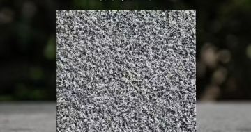 阳江 芝麻黑荔枝面