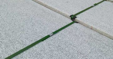 阳江 芝麻白斧剁面