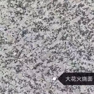 阳江 芙蓉白（芝麻白大花）火烧面