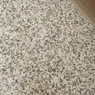 阳江 黄金麻中黄光面