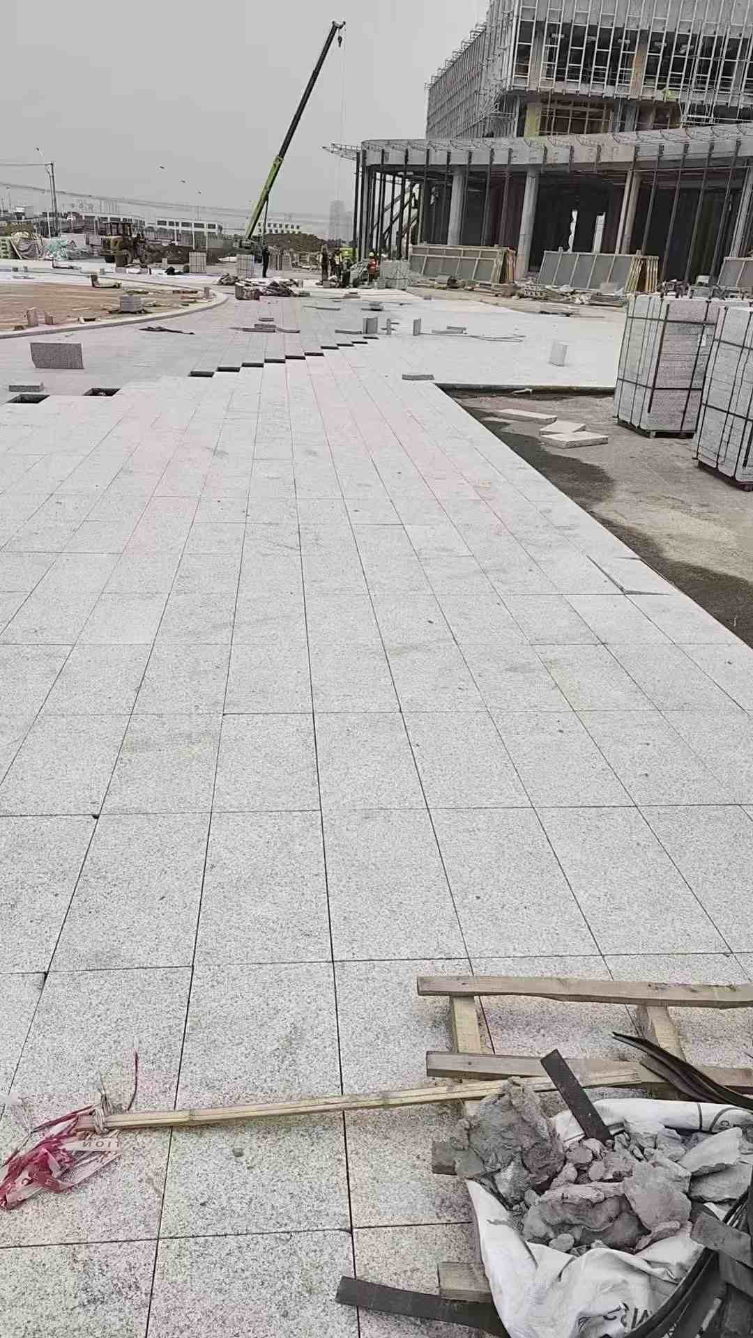 阳江芝麻白地铺案例