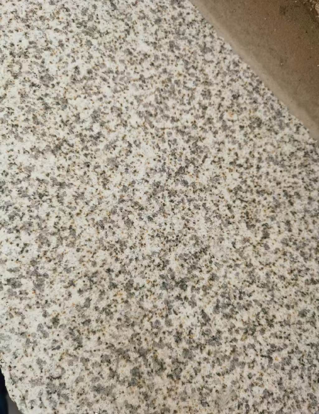 阳江 黄金麻中黄光面