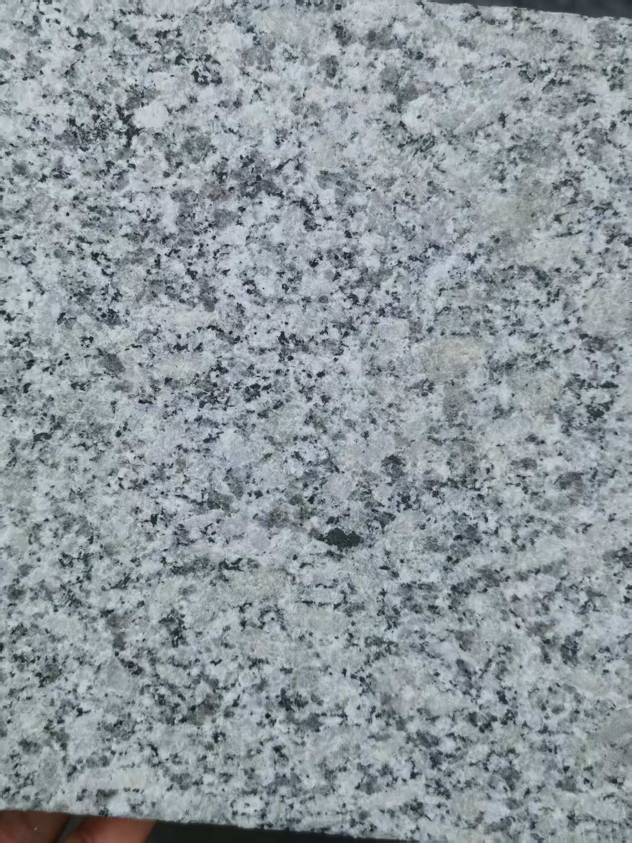 阳江 芙蓉白火烧面
