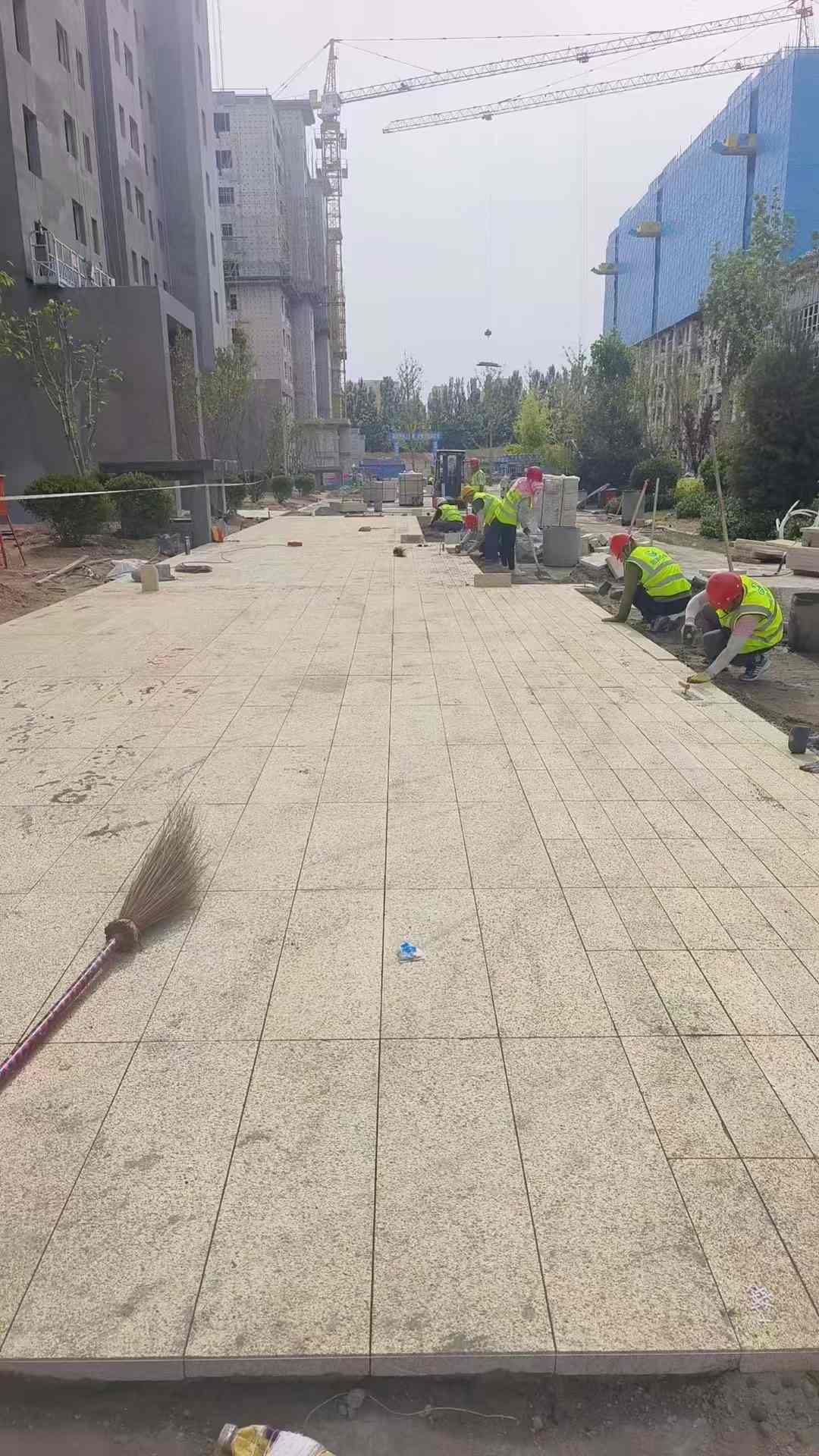 阳江黄金麻荔枝面地铺案例